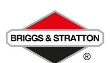 Briggs & Stratton